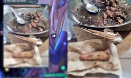 En Guanajuato encuentran dedo humano en orden de carnitas