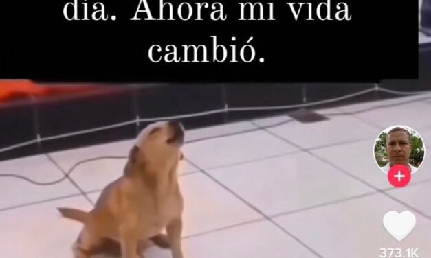 VIDEO: ‘Lomito’ conquista a internautas luego de aparecer ‘cantando’ las alabanzas en una iglesia