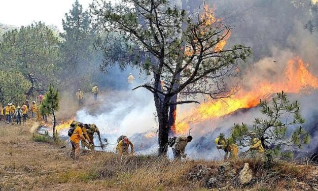En Jalisco hay cuatro incendios forestales activos; protección Civil los combaten