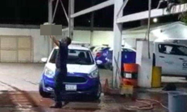 El infierno para los perros está en Monclova; denuncian a bomberos por crueldad animal