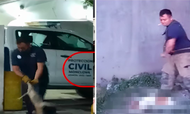 Condena gobernador de Coahuila caso de crueldad animal en Monclova; Propaec inicia investigaciones