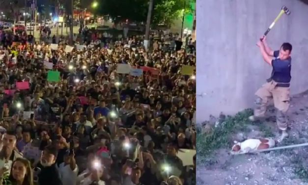 Vuelven a protestar en Monclova para exigir justicia por matanza de perros