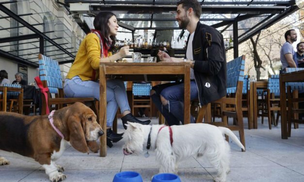 Joven expone a restaurante luego de no aceptar mascotas