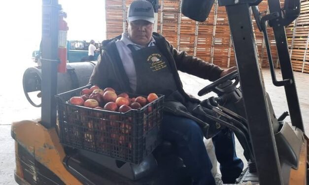 En Canatlán integradora de manzana termina temporada de refrigeración