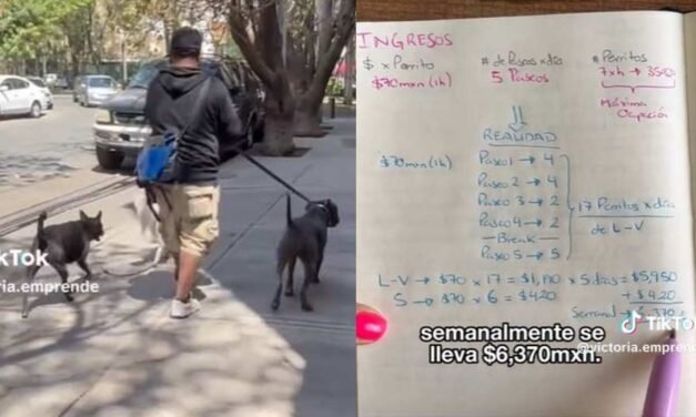 VIDEO: Joven revela lo que gana paseando ‘lomitos’