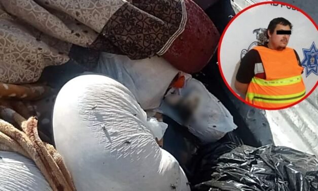 En Ciudad Juárez hallan 118 perros muertos embolsados dentro de una camioneta