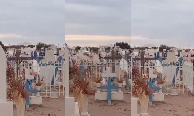 VIDEO: Captan a niños corriendo y jugando desnudos en un panteón