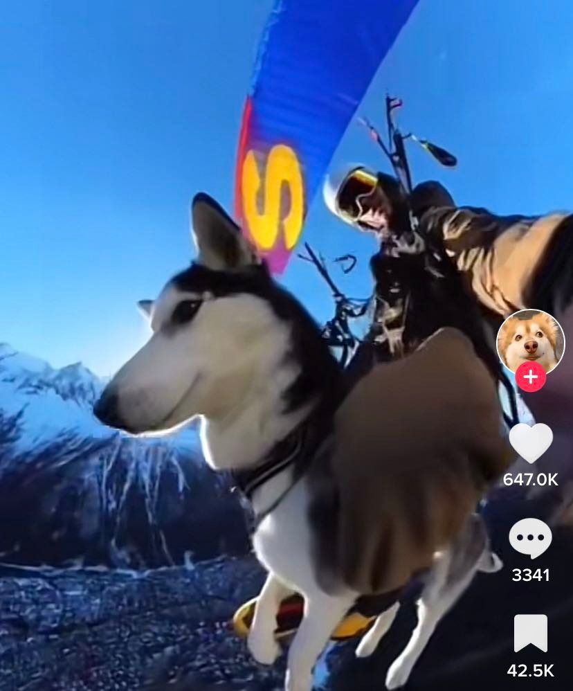 346153420_580591980870010_4762462663061547911_n