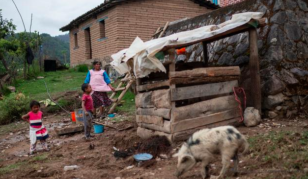 Sólo 3 de cada 10 hogares pobres, con acceso a internet: Inegi