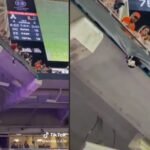 VIDEO: Aficionados rescatan a un gato apunto de caer al vacío en un estadio de futbol americano