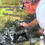 Hombre muestra que su mascota es un cocodrilo y se vuelve viral