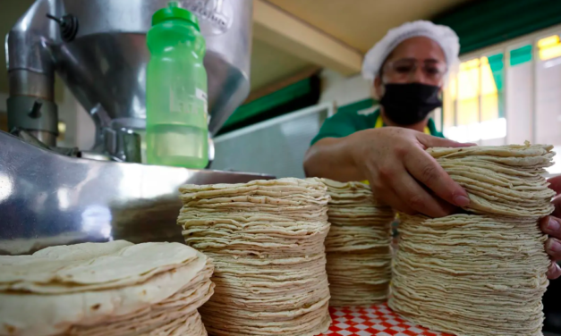 Productores de tortilla en Torreón pedirán apoyo al próximo gobernador de Coahuila para regular venta