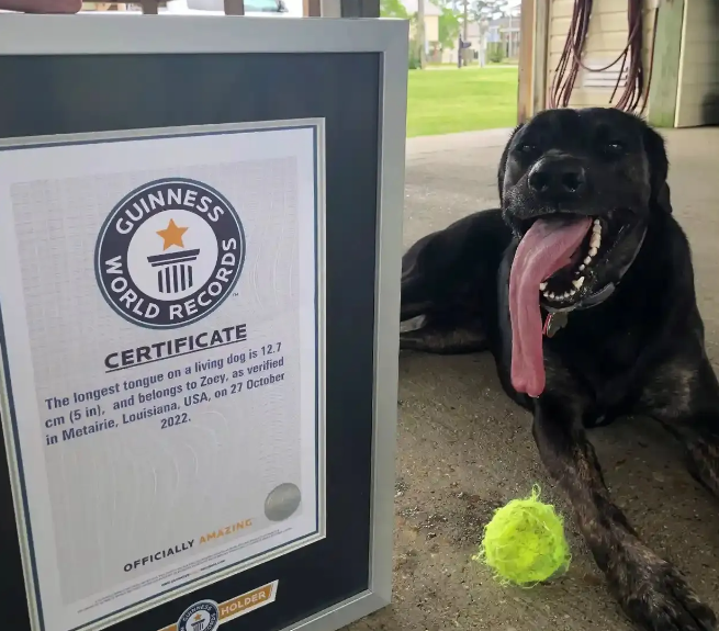 Captura de Pantalla 2023-06-07 a la(s) 10.45.43