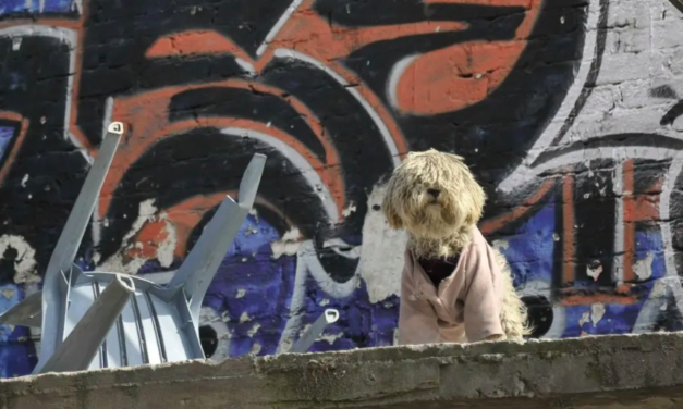 Van contra dueños de perros en azoteas en Coahuila