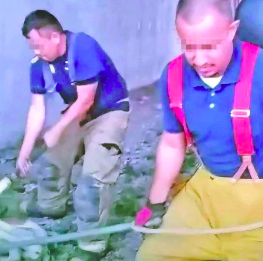 Queda libre bombero que participó en muerte de perro en Monclova tras pagar multa