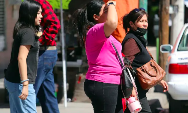 La Laguna suma 12 días con temperaturas superiores a los 40 grados
