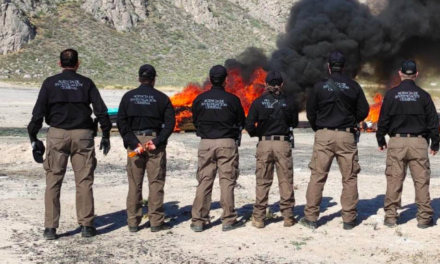 Incineran en Torreón más de 300 kilos de droga