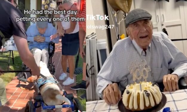 Abuelito se vuelve viral tras celebrar su cumpleaños numero 100 con un desfile de perritos