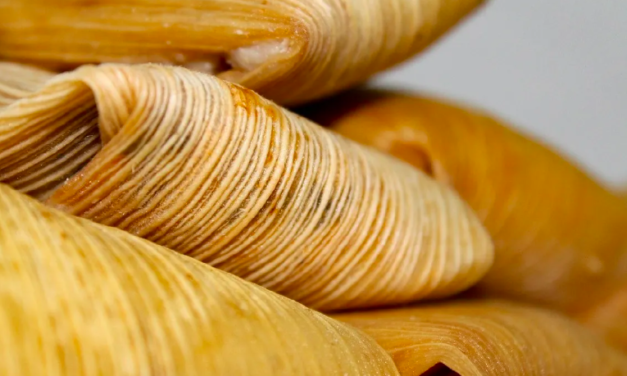 Desmienten hecho sobre mujer que vendía tamales con carne humana en Zapopan