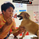 Zootecnista se vuelve viral tras compartir el proceso de poner un medicamento a una mascota
