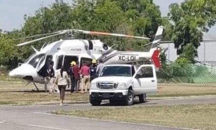 En Hidalgo exalcalde muere por patada de caballo