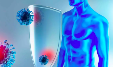 Estos alimentos ayudan a subir las defensas del cuerpo