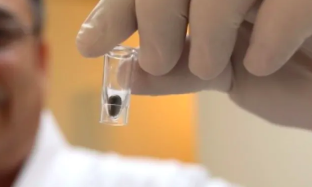 Preocupante aumento de casos de rickettsia y dengue en La Laguna