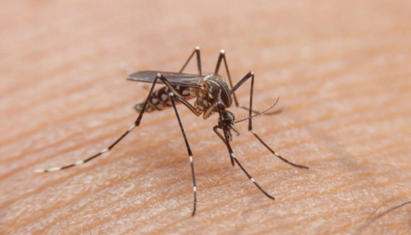 Captura de Pantalla 2023-09-20 a la(s) 11.47.09