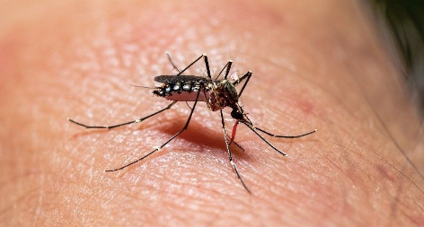 Captura de Pantalla 2023-11-15 a la(s) 11.07.15