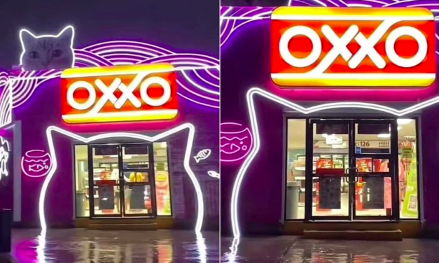 Tienda Oxxo con encanto felino, el ‘Michi-Oxxo’ que conquista las redes sociales