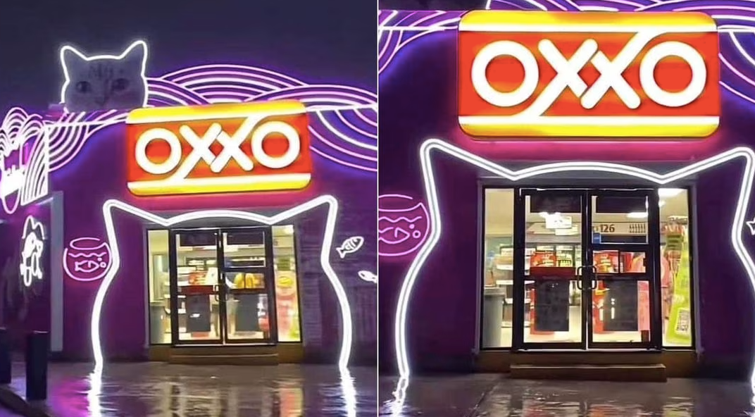 Tienda Oxxo Con Encanto Felino El Michi Oxxo Que Conquista Las Redes