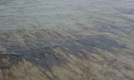 Mega derrame de petróleo en el Golfo de México, más de un millón de galones vertidos