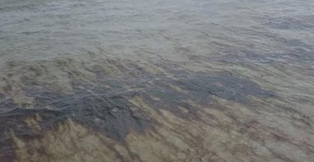 Captura de Pantalla 2023-11-23 a la(s) 8.48.16