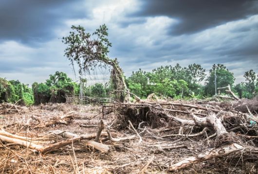 Estudio de la Universidad de Ginebra revela impacto persuasivo de la desinformación sobre el cambio climático