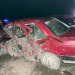 Tragedia en carretera Saltillo-Zacatecas; oso desencadena fatal accidente