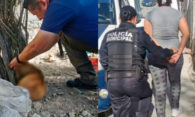 En Querétaro dejó a su perro atado hasta que murió y ahora recibe enorme multa