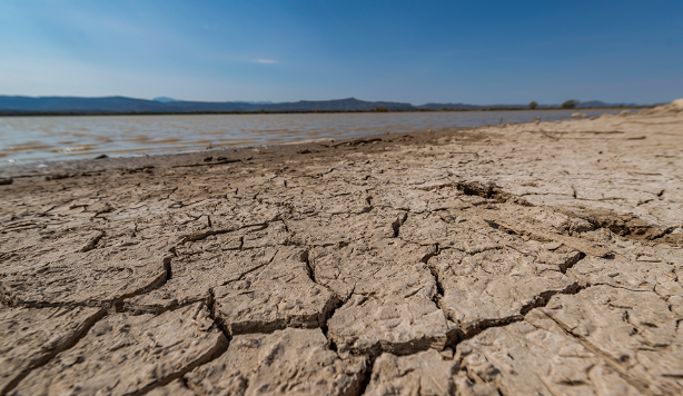 Crisis ambiental en la Comarca Lagunera, historia, desafíos y la lucha por la conservación