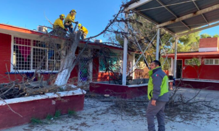 Fuertes ráfagas de viento en Saltillo generan incidentes: 25 reportes atendidos por PC
