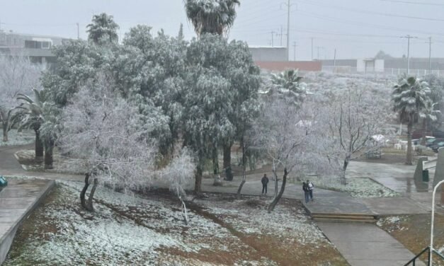 Frente frío deja paisajes invernales en Coahuila con aguanieve y bajas temperaturas