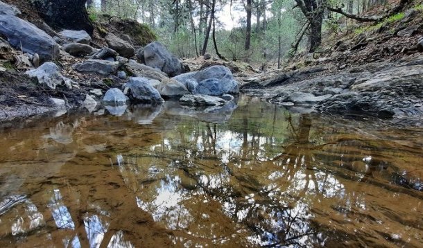 Arteaga bajo la lupa: opacidad y respuestas incompletas ante crisis del agua