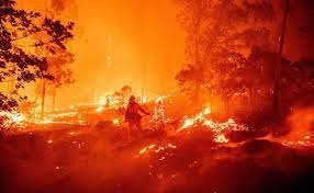 En Saltillo muere persona en incendio provocado por pirotecnia