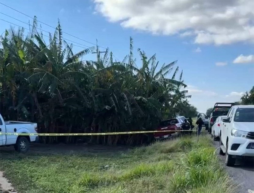 personas-reunidas-y-vehiculos-de-policia-estacionados-frente-a-un-plantio-de-platanos-en-veracruz-1