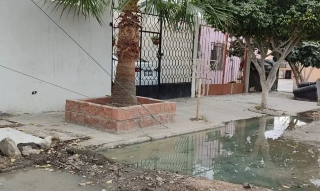 Brotes de aguas negras en condominios Manhattan de Torreón, un riesgo sanitario ignorado por las autoridades