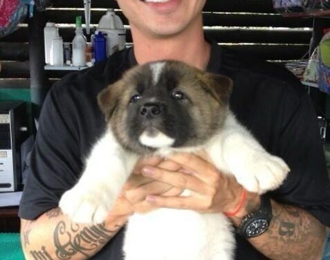 J Balvin dedica emotivo mensaje a su compañero de vida desde hace 14 años