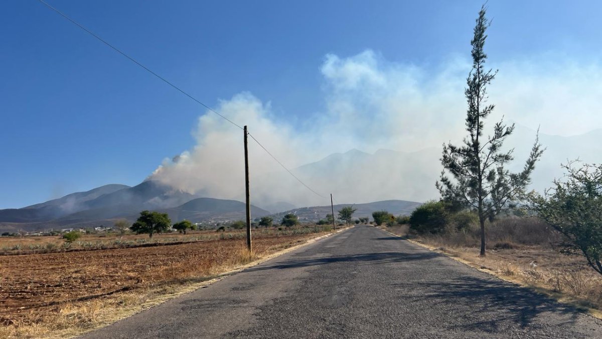 Comuneros pierden vida en Oaxaca, Incendio, incendio forestal, comuneros