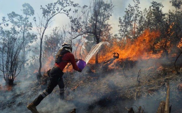 Incendio en Oaxaca avanzan trabajos