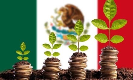 Desaceleración económica y menores ingresos petroleros pronosticados para el 2025: SHCP