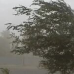 Frente frío y tormenta invernal pronostican torbellinos en Coahuila