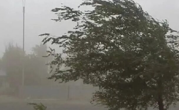Frente frío y tormenta invernal pronostican torbellinos en Coahuila