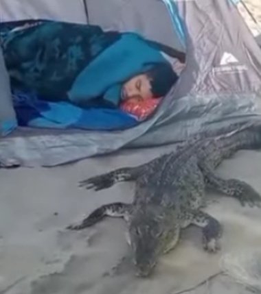 Captura de pantalla (978)